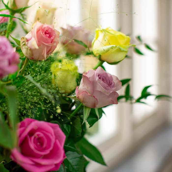 gekleurde rozen vooraanzicht raam la vie en rose 1
