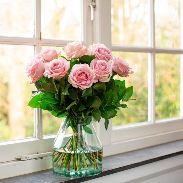 lichtroze rozen raam