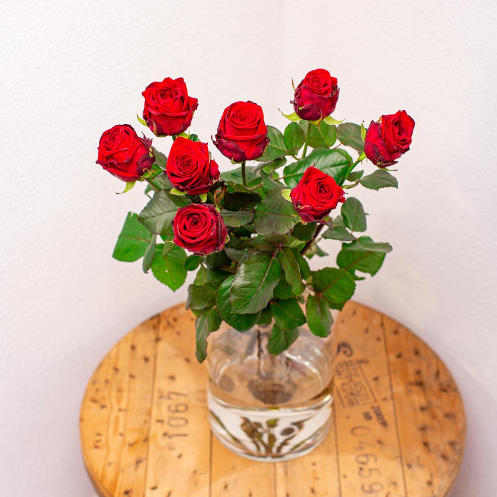 Toegepast Weigeren altijd Lange rode rozen met grote knop