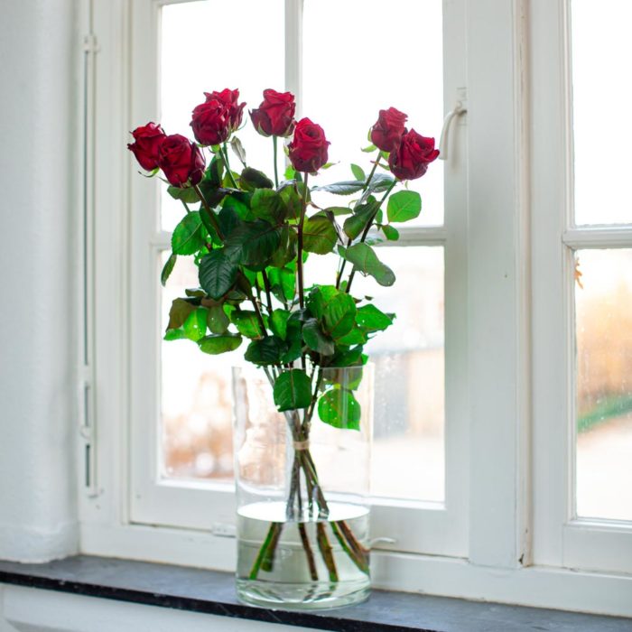 rode rozen in het raam