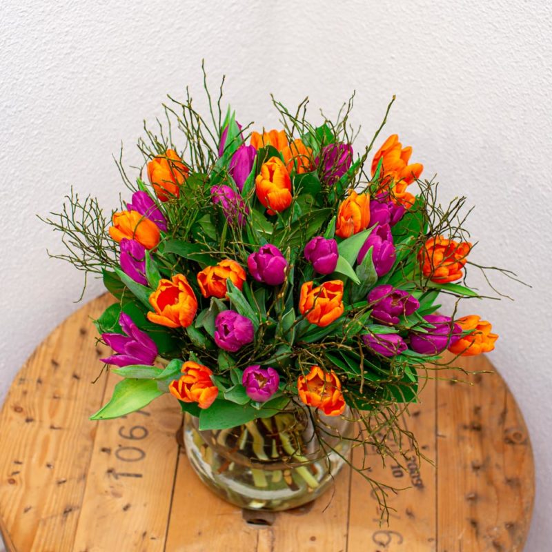 Oranje En Paarse Tulpen